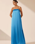 Ciel Silk Strapless Column Maxi Dress