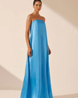 Ciel Silk Strapless Column Maxi Dress