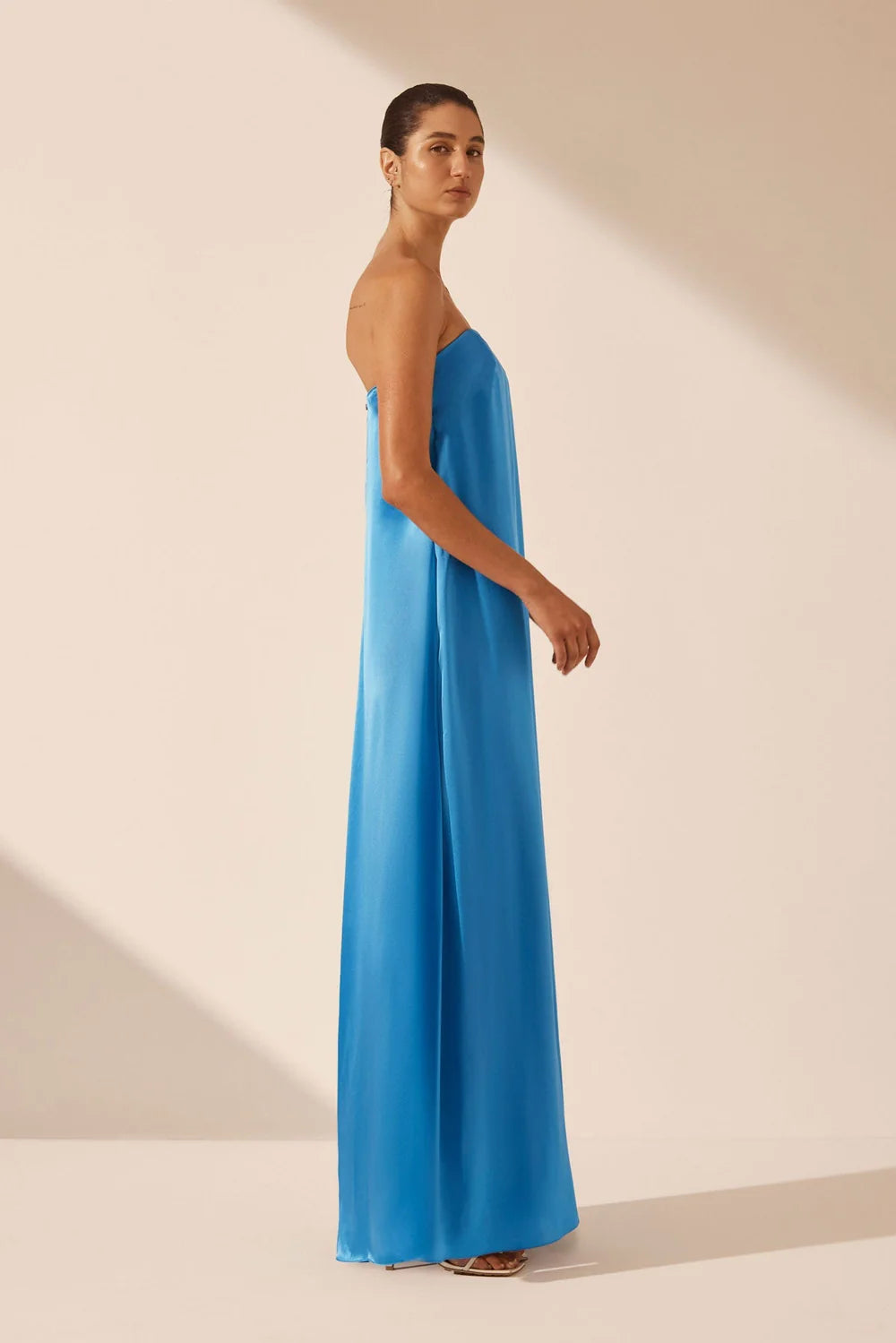 Ciel Silk Strapless Column Maxi Dress