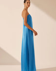 Ciel Silk Strapless Column Maxi Dress