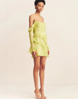 Miller Long Sleeve Ruffle Mini Dress
