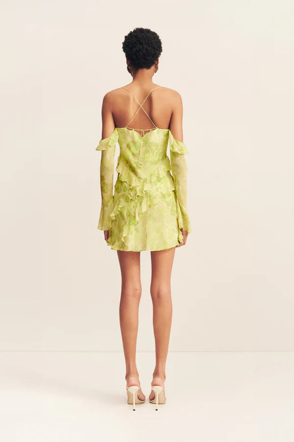 Miller Long Sleeve Ruffle Mini Dress