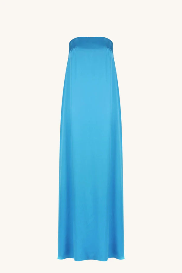 Ciel Silk Strapless Column Maxi Dress