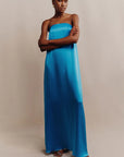 Ciel Silk Strapless Column Maxi Dress