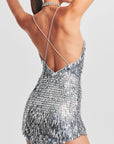 Sirena Feather Sequin Dress